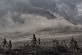 fot. Ezra Acayan, Filipiny, z cyklu: "Taal Volcano Eruption", 2 miejsce w kategorii "Przyroda - seria zdjęć" / World Press Photo 2021
<br></br><br></br>

Wulkan Taal, w prowincji Batangas, na wyspie Luzon na Filipinach, rozpoczął erupcję 12 stycznia, wyrzucając popiół na wysokość do 14 kilometrów w powietrze. Wulkan wygenerował opady popiołu i burze wulkaniczne, zmuszając do ewakuacji okolicznych mieszkańców. Erupcja przeszła w erupcję magmową, charakteryzującą się fontanną lawy z grzmotami i błyskawicami. Według Departamentu Opieki Społecznej i Rozwoju, erupcja dotknęła w sumie 212 908 rodzin, czyli prawie 750 000 osób. Szkody wyrządzone w infrastrukturze i źródłach utrzymania, takich jak rolnictwo, rybołówstwo i turystyka, zostały oszacowane na około 70 milionów dolarów. Wulkan Taal znajduje się w dużej kalderze wypełnionej przez jezioro Taal i jest jednym z najbardziej aktywnych wulkanów w kraju. Jest to "wulkan złożony", co oznacza, że nie posiada jednego otworu wylotowego lub stożka, ale kilka punktów erupcji, które zmieniały się w czasie. Taal miał 34 zarejestrowane historyczne erupcje w ciągu ostatnich 450 lat, ostatnio w 1977 roku. Podobnie jak inne wulkany na Filipinach, Taal jest częścią Pacyficznego Pierścienia Ognia, strefy o dużej aktywności sejsmicznej, w której znajdują się jedne z najbardziej aktywnych linii uskoków na świecie.