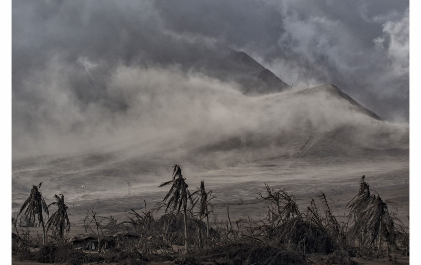 fot. Ezra Acayan, Filipiny, z cyklu: Taal Volcano Eruption, nominacja w kategorii Przyroda - seria zdjęć / World Press Photo 2021


Wulkan Taal, w prowincji Batangas, na wyspie Luzon na Filipinach, rozpoczął erupcję 12 stycznia, wyrzucając popiół na wysokość do 14 kilometrów w powietrze. Wulkan wygenerował opady popiołu i burze wulkaniczne, zmuszając do ewakuacji okolicznych mieszkańców. Erupcja przeszła w erupcję magmową, charakteryzującą się fontanną lawy z grzmotami i błyskawicami. Według Departamentu Opieki Społecznej i Rozwoju, erupcja dotknęła w sumie 212 908 rodzin, czyli prawie 750 000 osób. Szkody wyrządzone w infrastrukturze i źródłach utrzymania, takich jak rolnictwo, rybołówstwo i turystyka, zostały oszacowane na około 70 milionów dolarów. Wulkan Taal znajduje się w dużej kalderze wypełnionej przez jezioro Taal i jest jednym z najbardziej aktywnych wulkanów w kraju. Jest to wulkan złożony, co oznacza, że nie posiada jednego otworu wylotowego lub stożka, ale kilka punktów erupcji, które zmieniały się w czasie. Taal miał 34 zarejestrowane historyczne erupcje w ciągu ostatnich 450 lat, ostatnio w 1977 roku. Podobnie jak inne wulkany na Filipinach, Taal jest częścią Pacyficznego Pierścienia Ognia, strefy o dużej aktywności sejsmicznej, w której znajdują się jedne z najbardziej aktywnych linii uskoków na świecie.