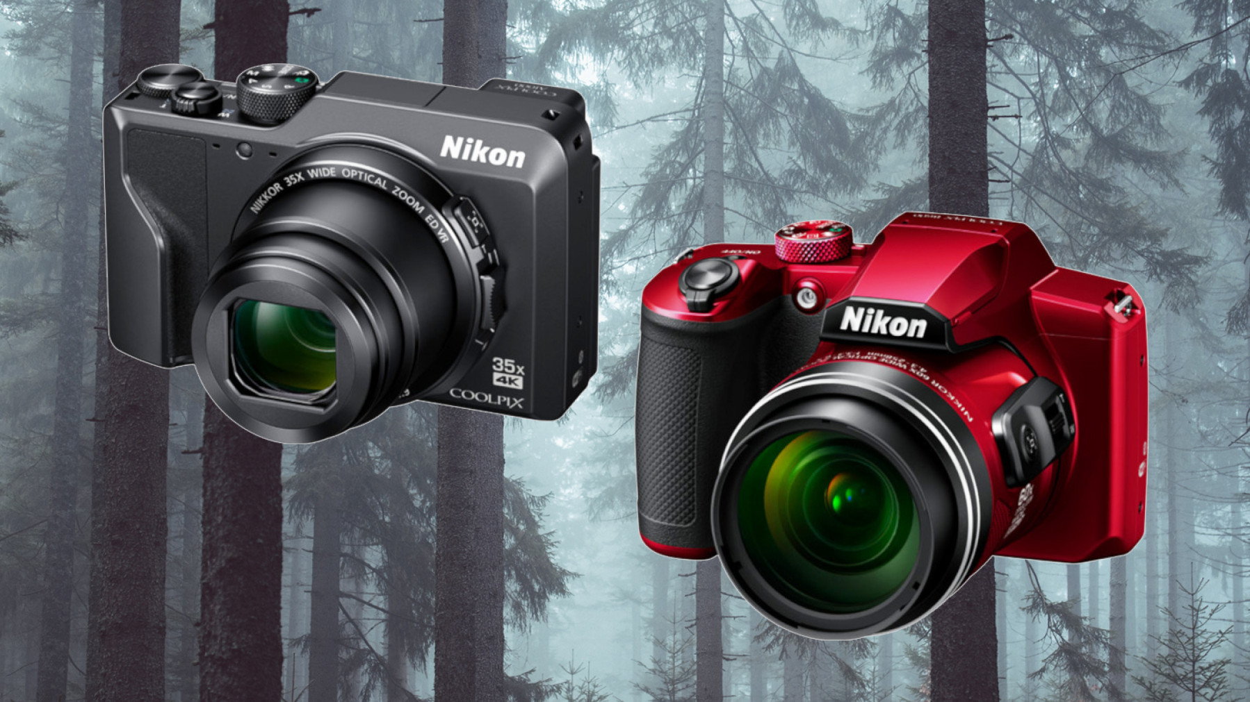 Nikon Coolpix A1000 i B600 - imponujące zbliżenia w zasięgu