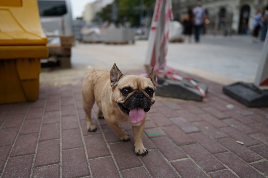 1/640 s, f/1.8, ISO 100, 28.0 mm