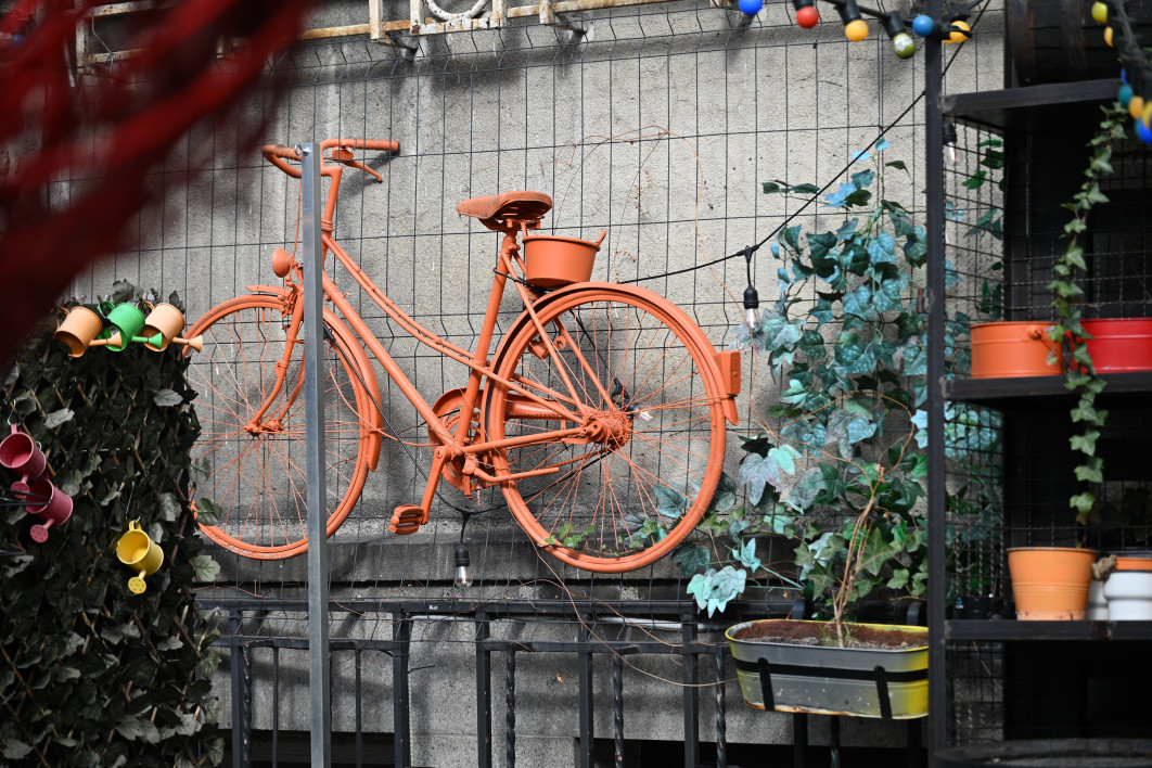 1/250 s, f/4, ISO 100, 110.0 mm