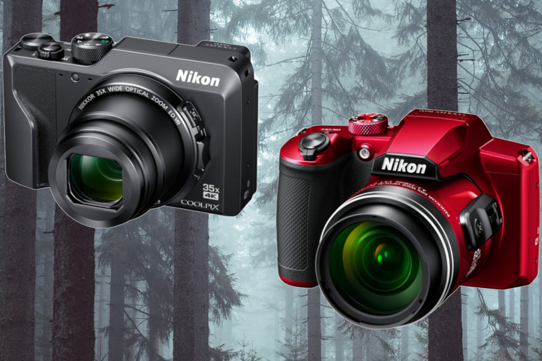 Nikon Coolpix A1000 i B600 - imponujące zbliżenia w zasięgu ręki