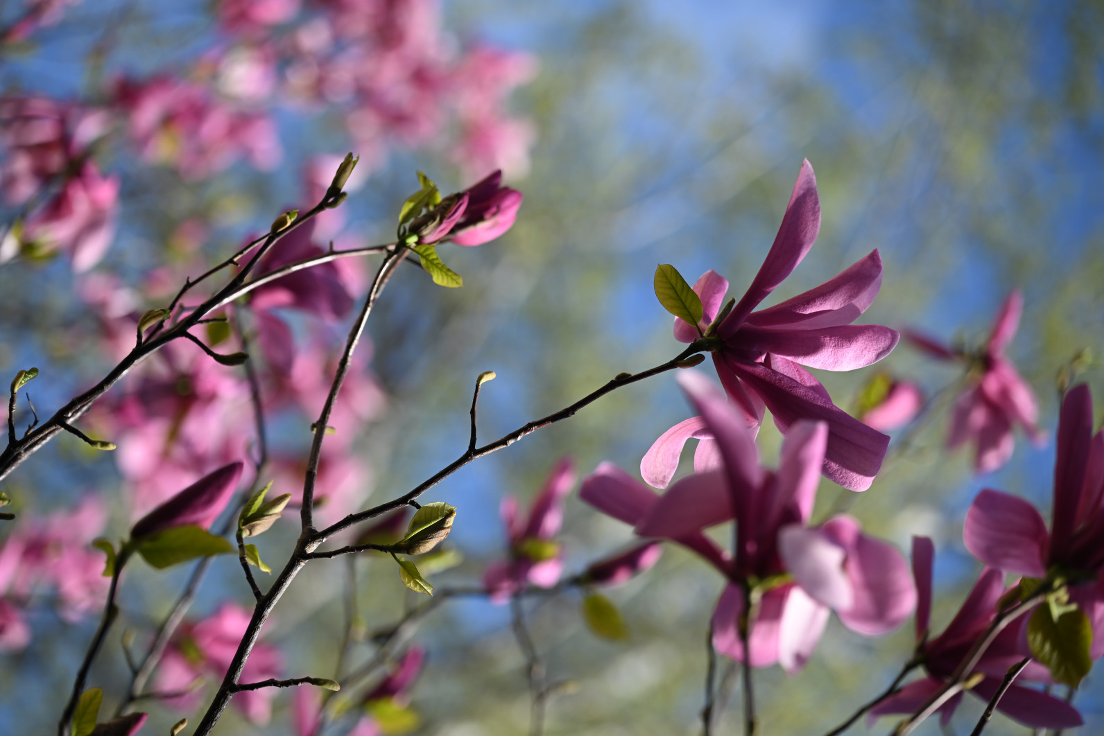 1/800 s, f/4, ISO 100, 120.0 mm