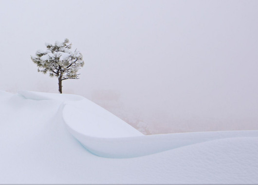 fot. Yvonne Baur