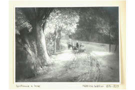 fot. Tadeusz Wański, 129