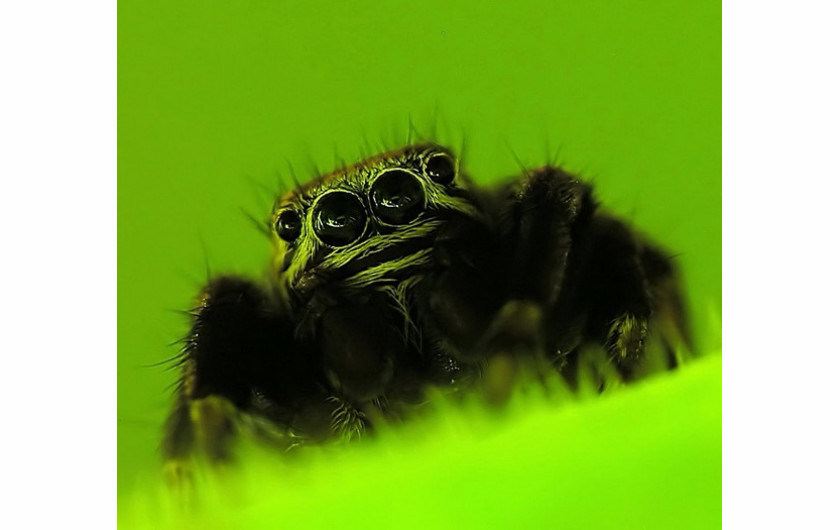 fot. Magdalena Wasiczek