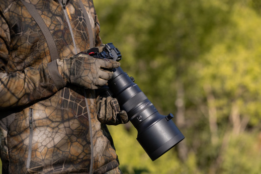 Sigma 500 mm f/5.6 DG DN OS Sports - test praktyczny i zdjęcia przykładowe [RAW]