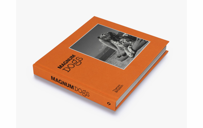 Magnum Dogs | Thames & Hudson 2021