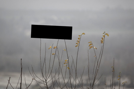 fot. Artur Piecyk