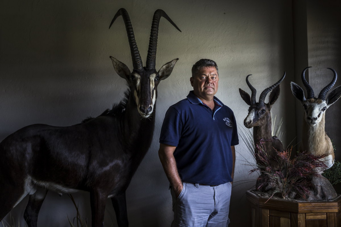 fot. Brent Stirton, "Rhino Wars", 1. miejsce w kategorii Nature / Stories.
W Kruger National Park na granicy Mozambiku i RPA, największym na świecie rezerwacie nosorożców, trwa wojna pomiędzy kłusownikami a działaczami NGO. Szacuje się, że po przekroczeniu granicy z Mozambikiem nosorożce przeżywają około 24 godzin. Za sytuację tę odpowiada medycyna azjatycka, w której róg nosorożca uchodzi za cudowny lek na wszystko i jest warty więcej niż złoto. Rogi nosorożców są proszkowane, a następnie wdychane w celach leczniczych przez zamożnych Chińczyków i Wietnamczyków. Według zachodniej nauki, medykamenty z rogu nosorożca nie mają działania lepszego od placebo. Ochrona rancz, taki jak to należące do milionera Johna Hume'a, skupiające 1500 nosorożców, których rogi na czarnym rynku warte są ponad 50 milionów dolarów, stała się coraz bardziej niebezpiecznym i nacechowanym politycznie zadaniem. Kłusownicy porównują bowiem walkę z nimi do działań Apartheidu.