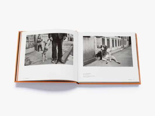 Magnum Dogs | Thames & Hudson 2021