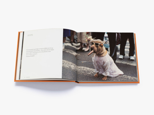 Magnum Dogs | Thames & Hudson 2021