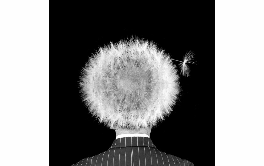 fot. Michael Knudsen, Hairloss, 1. nagroda w kategorii Conceptual / Monovisions Photography Awards 2019