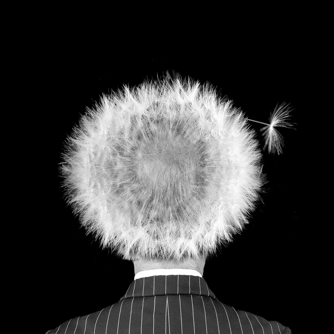 fot. Michael Knudsen, "Hairloss", 1. nagroda w kategorii Conceptual / Monovisions Photography Awards 2019