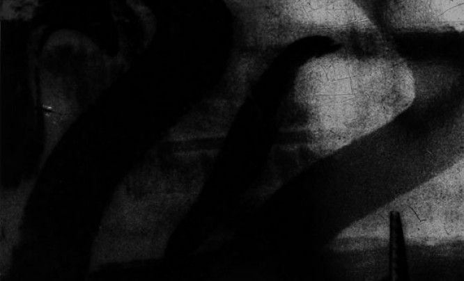  Wystawa "W stronę fotografii" w Galerii Pauza