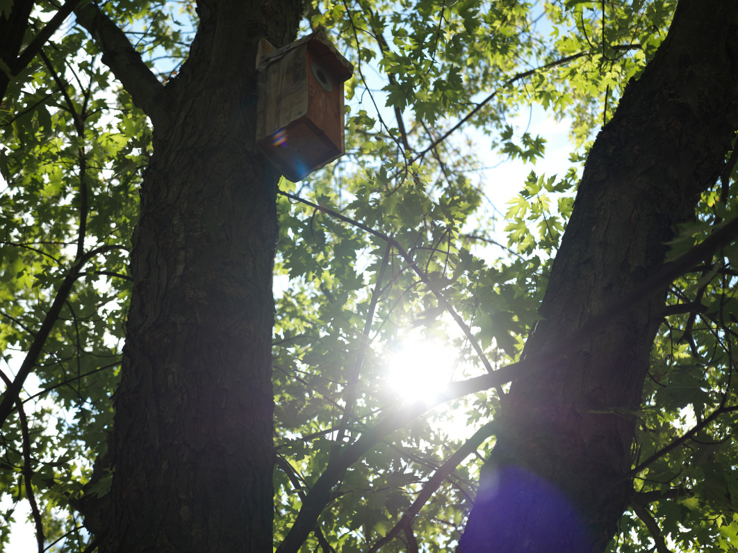 1/160 s, f/4,8, ISO 50, 55 mm 
