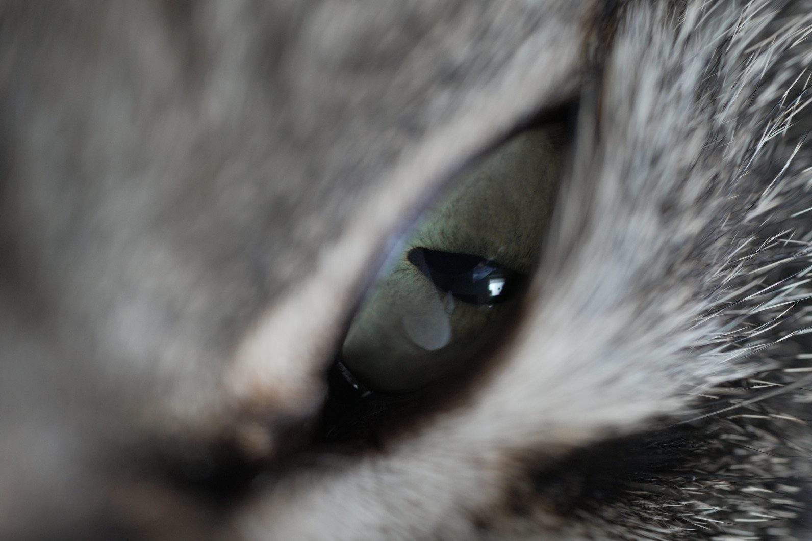 1/60 s, f/2.8, ISO 2500, 90.0 mm