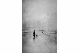 fot. Daniel Castonguay, "Walking Brutus", 1. nagroda w kategorii Fine Art / Monovisions Photography Awards 2019