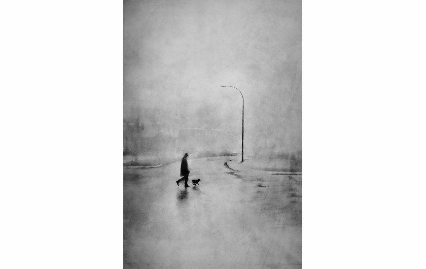 fot. Daniel Castonguay, Walking Brutus, 1. nagroda w kategorii Fine Art / Monovisions Photography Awards 2019