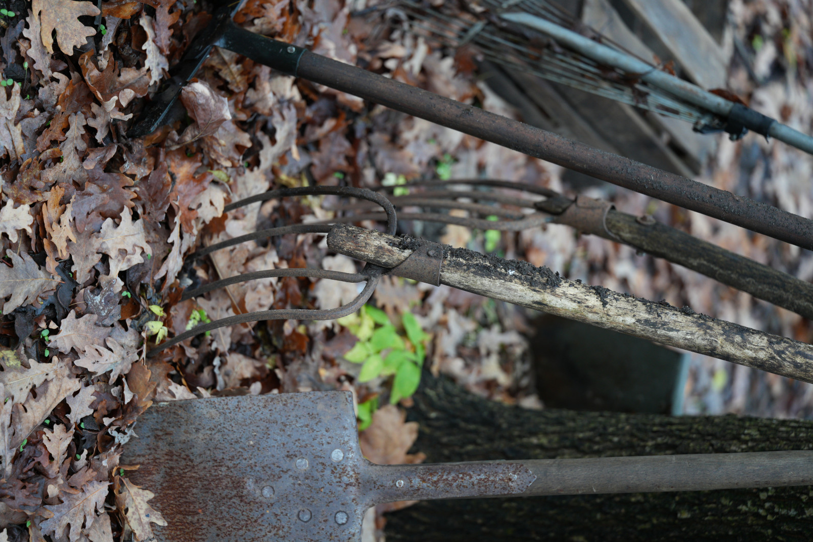 1/60 s, f/2.8, ISO 640, 90.0 mm