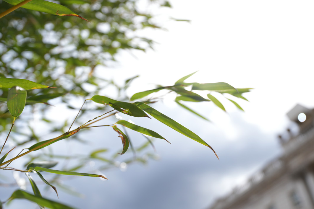 1/1250 s, f/2.8, ISO 100, 22.0 mm