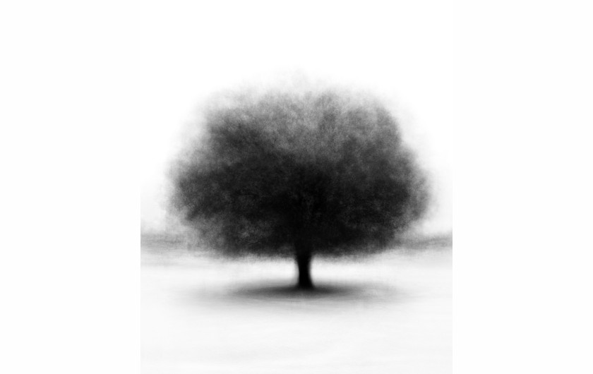 fot. Hilda Champion, Oak Solo, 3. nagroda w kategorii Fine Art / Monovisions Photography Awards 2019