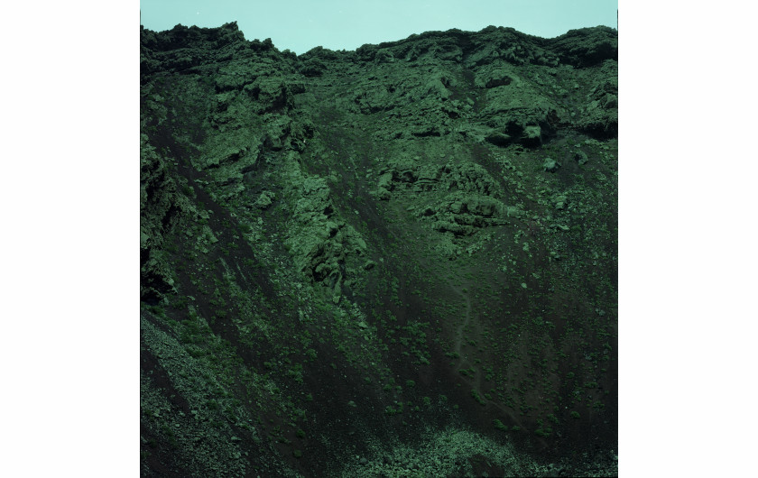 fot. Ola Grochowska, a green soul volcano, 2017, dzięki uprzejmości Wall Gallery (www.wallgallery.online)