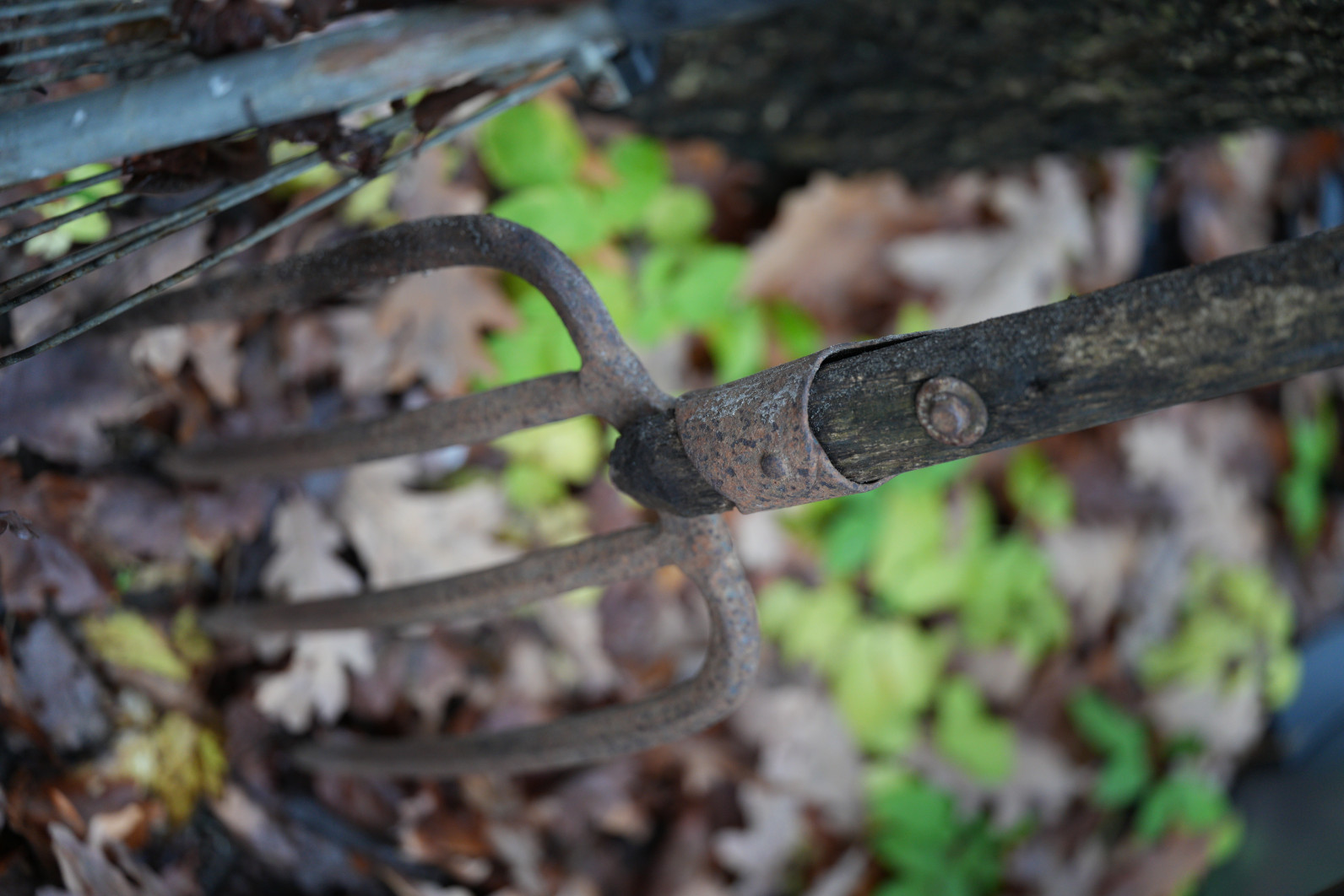 1/60 s, f/2.8, ISO 800, 90.0 mm