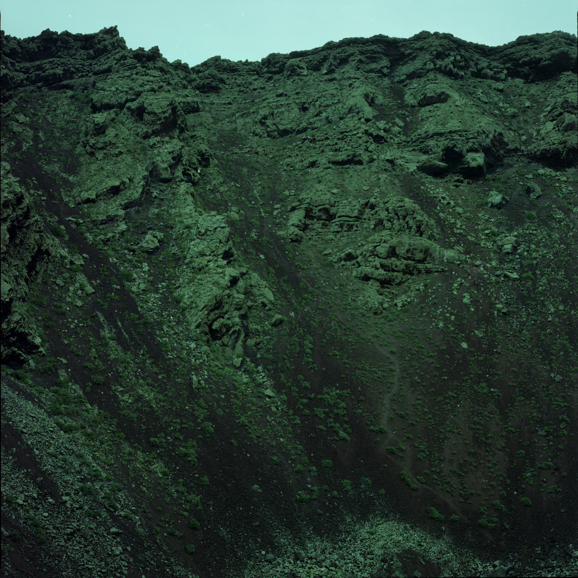fot. Ola Grochowska, a green soul volcano, 2017, dzięki uprzejmości Wall Gallery (www.wallgallery.online)