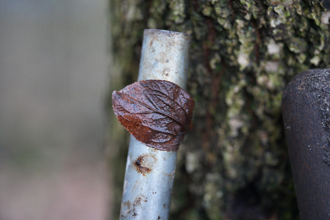 1/60 s, f/2.8, ISO 2000, 90.0 mm