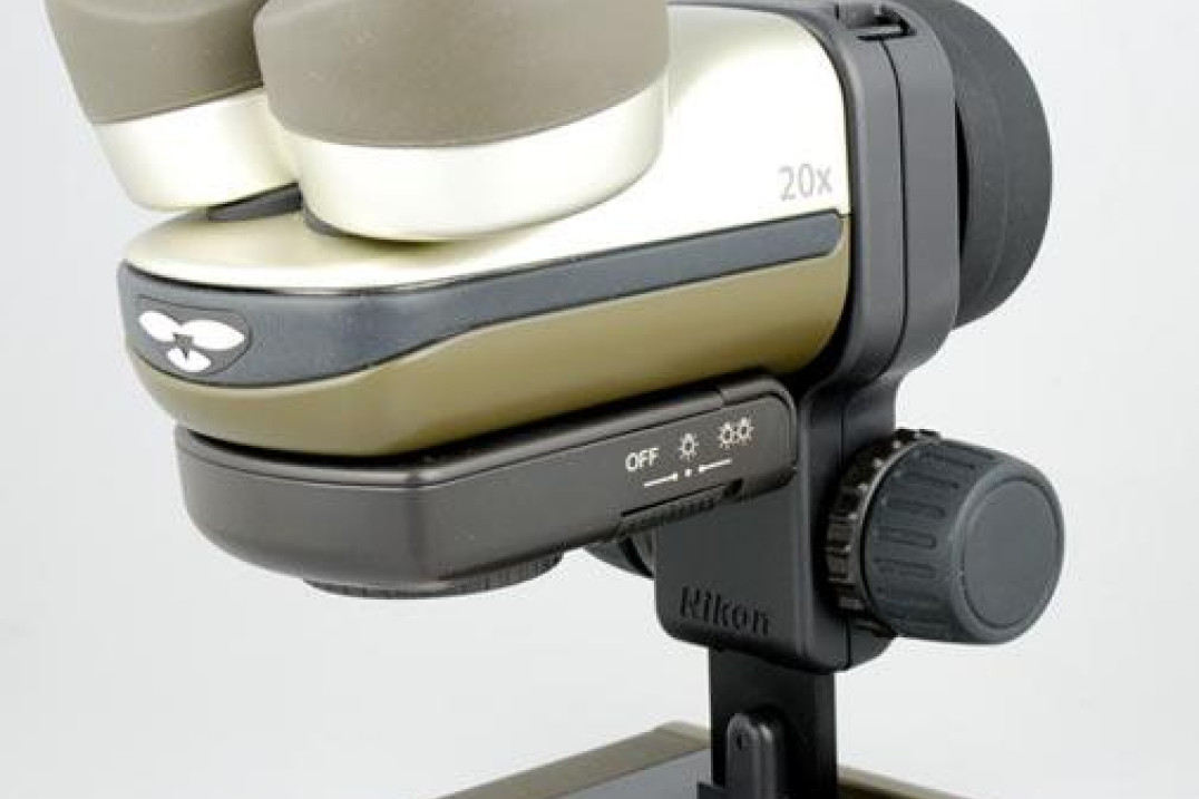 EZ-MICRO - 20-krotne powiększenie fotografowanego przedmiotu dzięki sprzężonemu z aparatem mikroskopowi firmy Nikon.