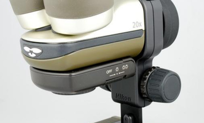  EZ-MICRO - 20-krotne powiększenie fotografowanego przedmiotu dzięki sprzężonemu z aparatem mikroskopowi firmy Nikon.