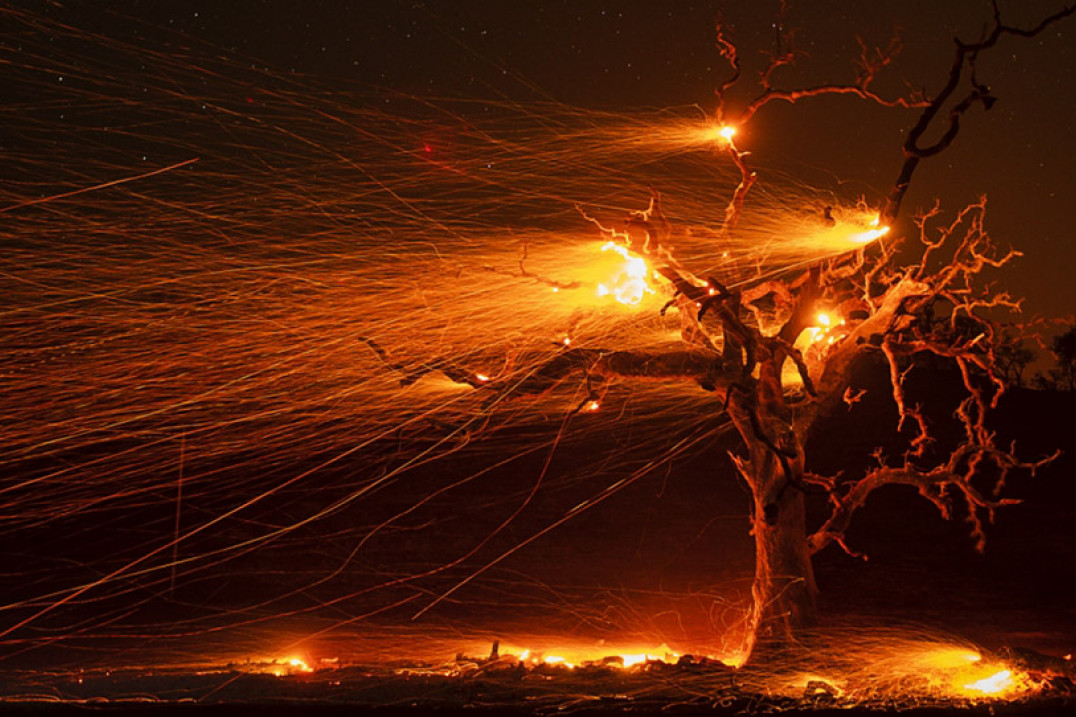 Najlepsze zdjęcia z konkursu Siena International Photo Awards 2020