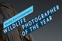 Konkurs Wildlife Photographer of the Year 2011