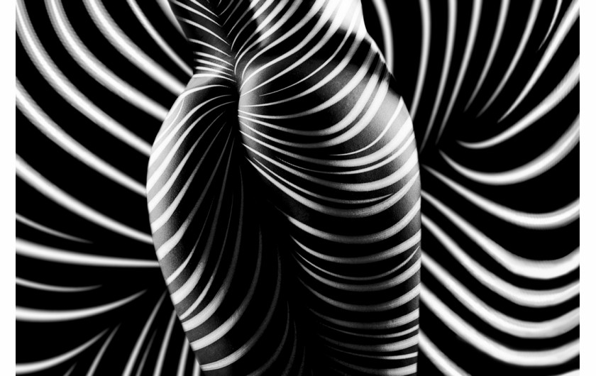 fot. Kristian Liebrand, Zebra Nude, 1. nagroda w kategorii Nude / Monovisions Photography Awards 2019