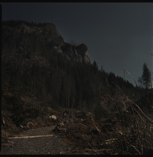 fot. Ola Grochowska, bez tytułu, 2019, dzięki uprzejmości Wall Gallery (www.wallgallery.online)
