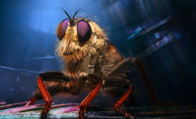 8. Wielki Konkurs Fotograficzny National Geographic Polska - wyniki