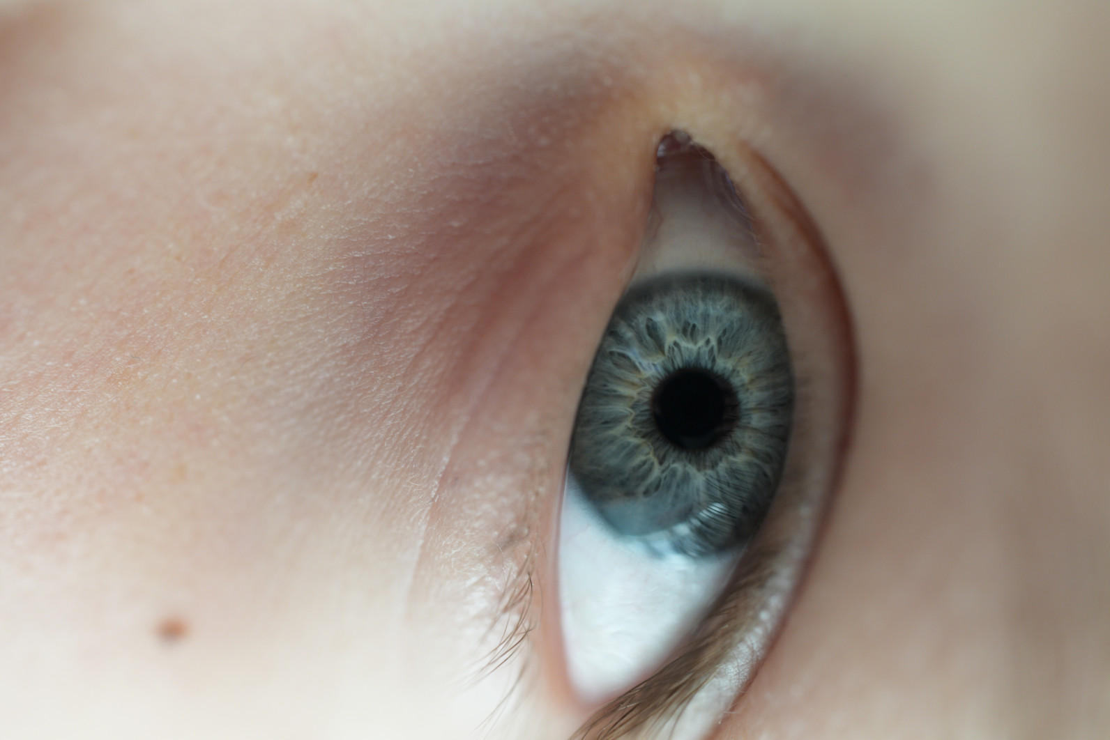 1/125 s, f/2.8, ISO 1000, 90.0 mm