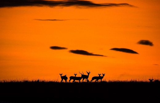 Najciekawsze zgłoszenia z konkursu National Geographic Travel Photographer of the Year 2016