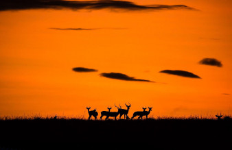 Najciekawsze zgłoszenia z konkursu National Geographic Travel Photographer of the Year 2016