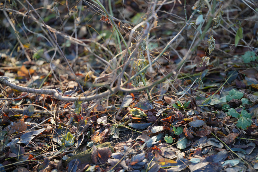 1/125 s, f/2.8, ISO 200, 90.0 mm