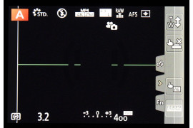 Wirtiualny panel funkcyjny aparatu FZ300