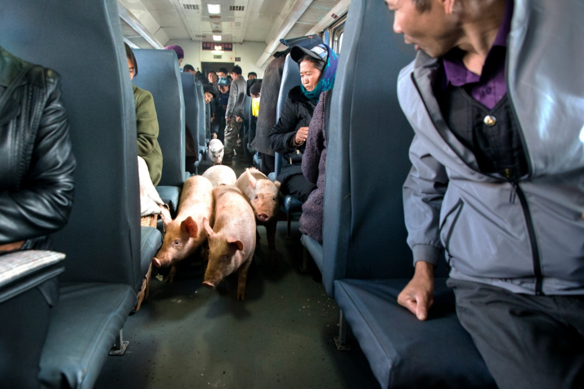 fot. Xiangang Chen, "Unexpected guest on the train", wyróżnienie w kat. Journeys & Adventures / Siena International Photo Awards 2020<br></br><br></br>"Zielony pociąg" pozwolił wielu mieszkańcom południowo-zachodniego regionu Chin (Langshan) wyrwać się z biedy. Za jego pomocą rolnicy i hodowcy transportują swoje dobra na sprzedaż.