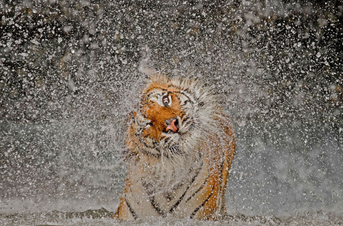 Zdobywca Grand Prize: The Explosion!, Ashley Vincent (c) Ashley Vincent/National Geographic Photo Contest