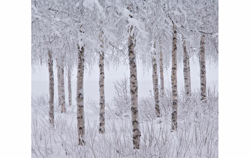 1. nagroda w category Snow & Ice, fot. Jon Martin