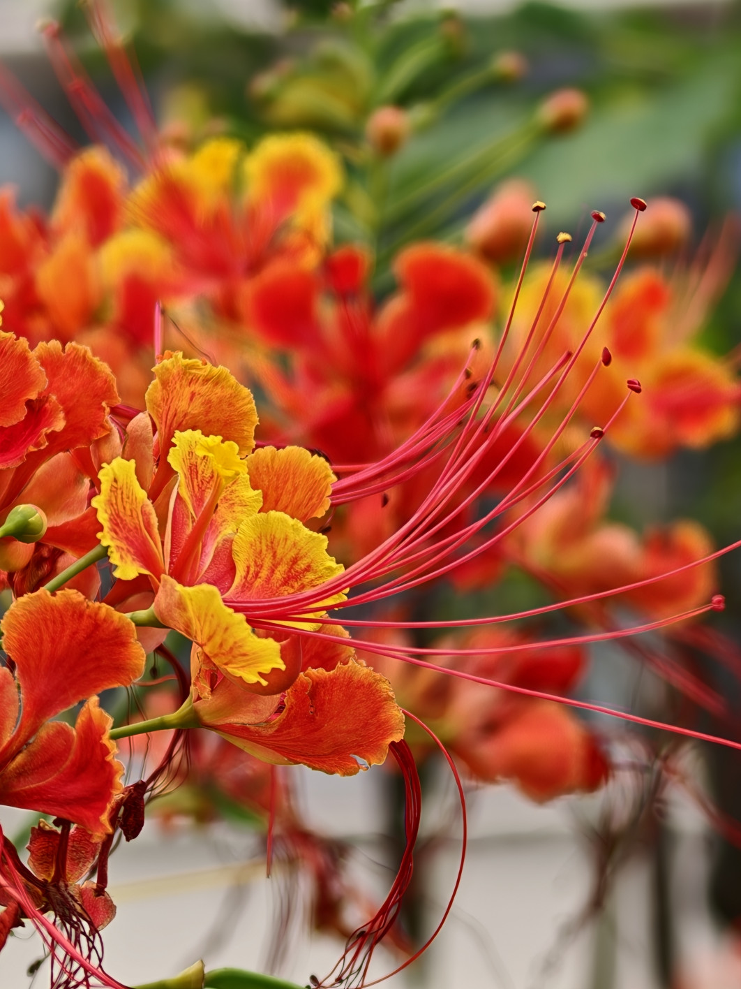 1/223 s, f/2.2, ISO 50, 20.1 mm