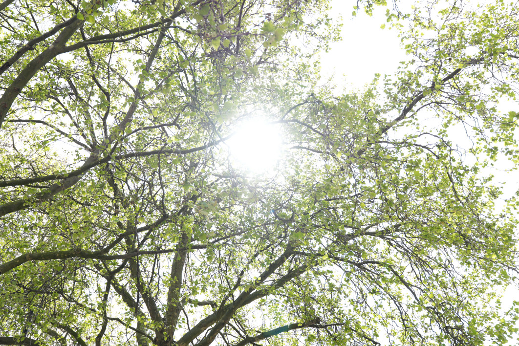1/2000 s, f/2.8, ISO 400, 25.0 mm