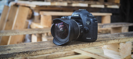 Samyang AF 14 mm f/2.8 EF - test obiektywu