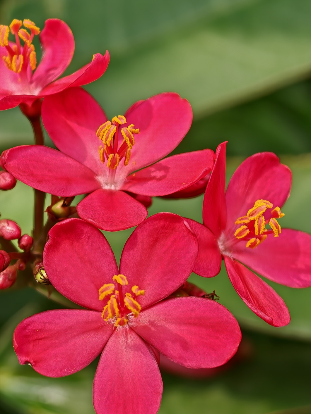 1/200 s, f/2.2, ISO 64, 20.1 mm