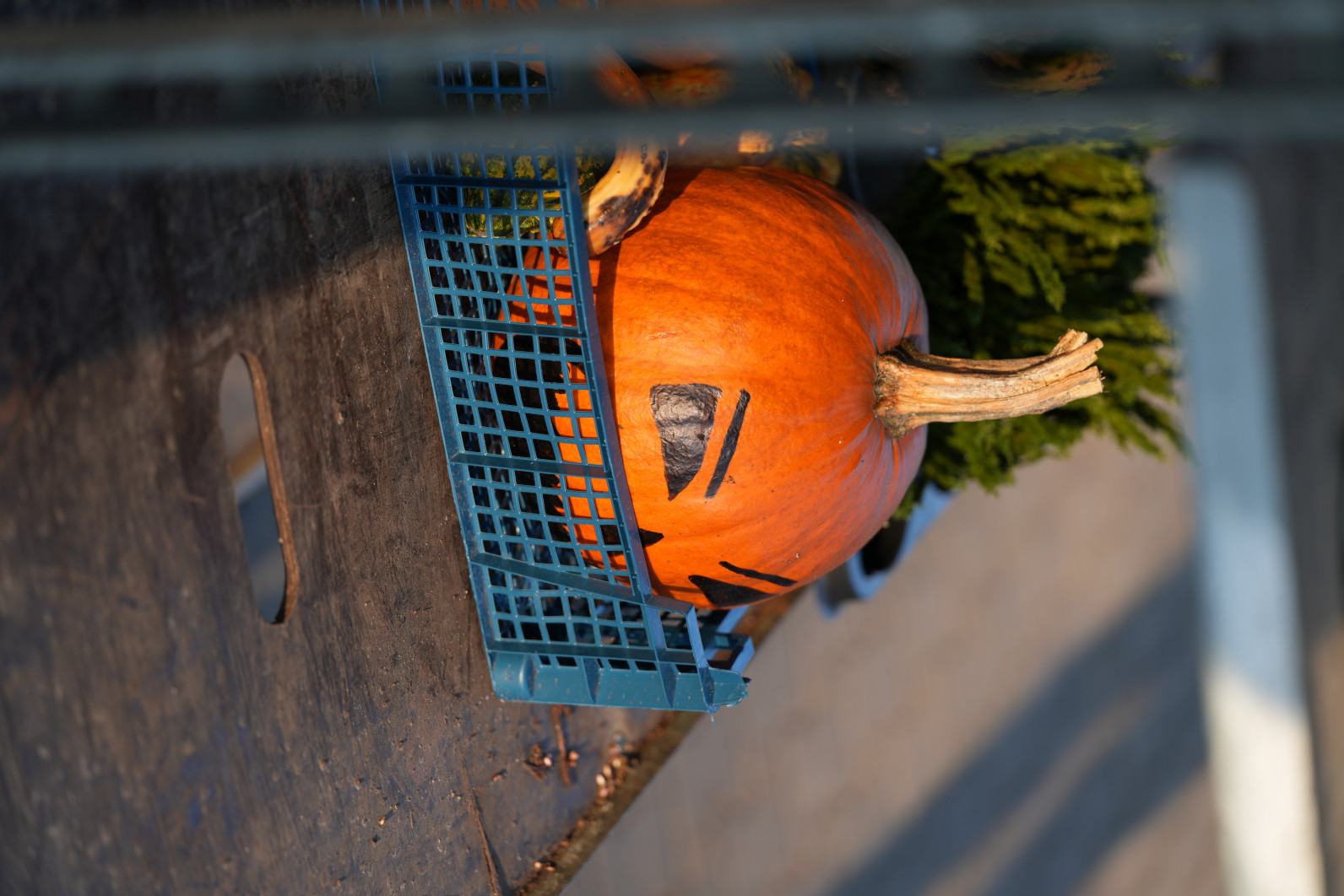 1/320 s, f/2.8, ISO 100, 90.0 mm
